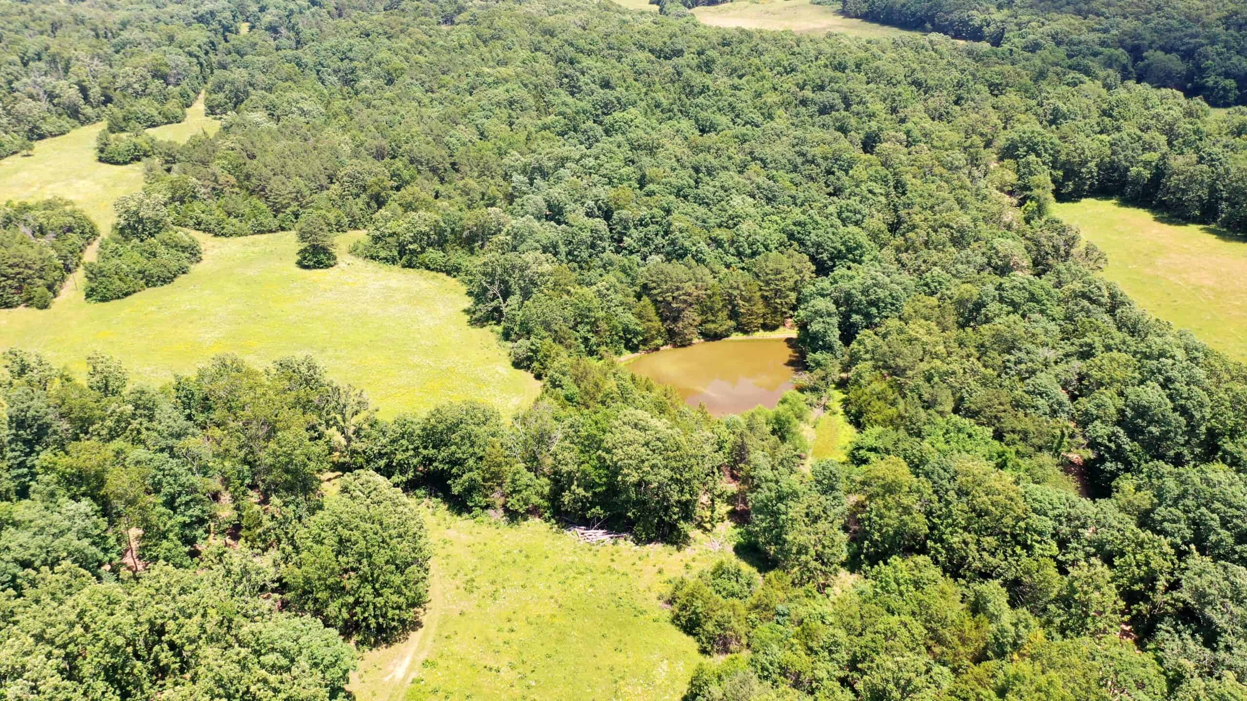 Wooded Hunting Land & Pond Near Salem, MO