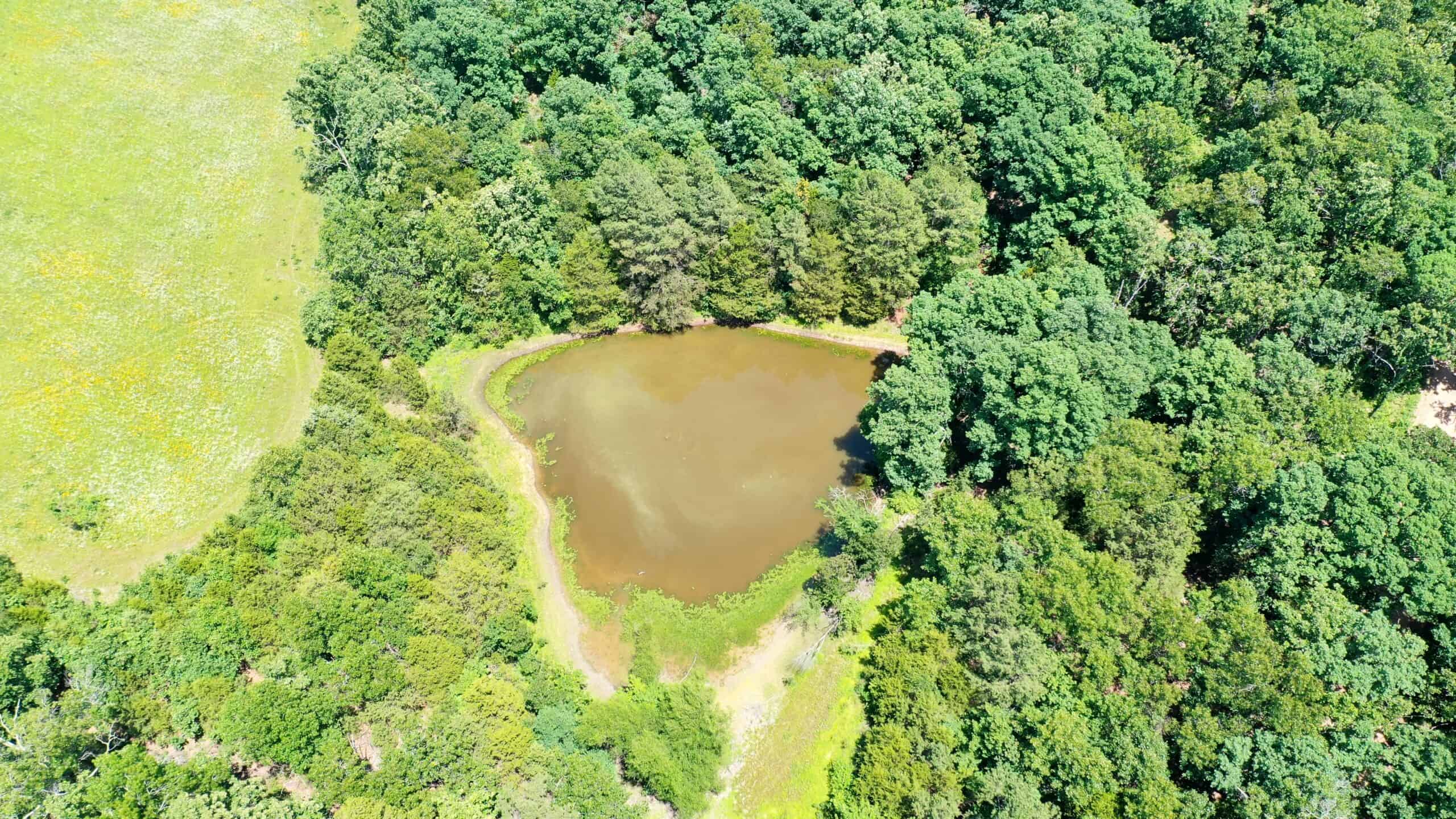 Wooded Hunting Land & Pond Near Salem, MO