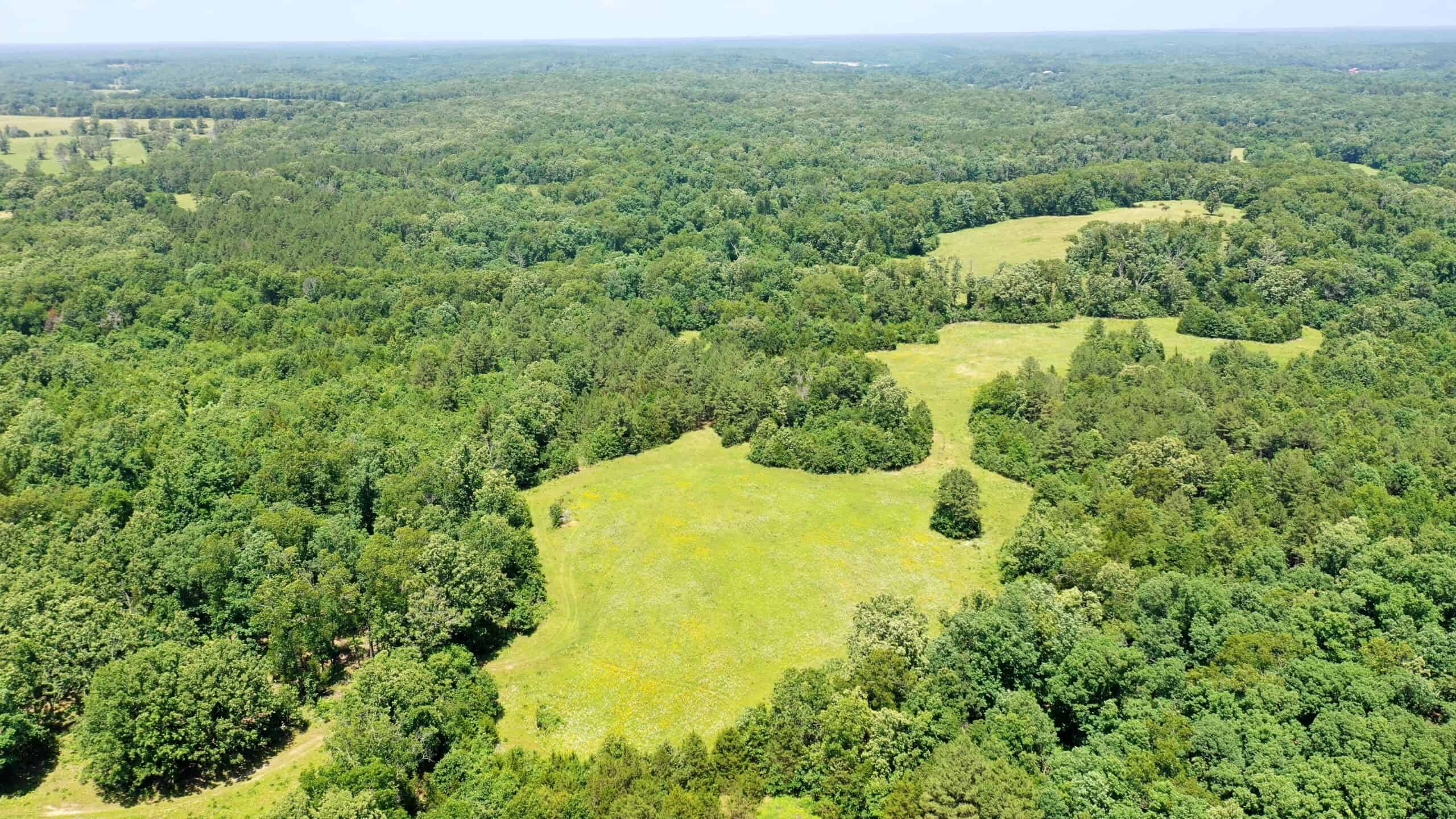 Wooded Hunting Land & Pond Near Salem, MO