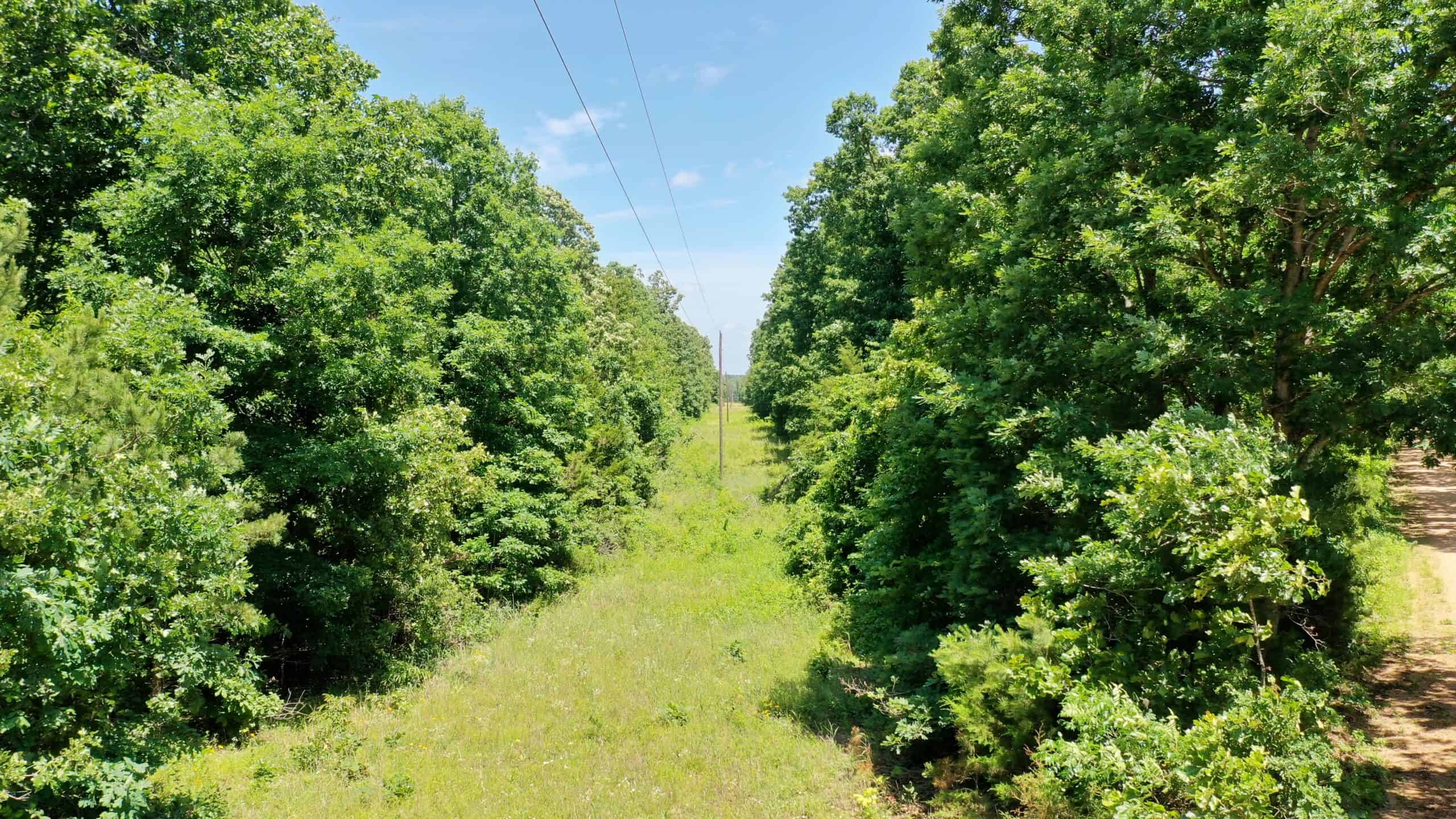 Wooded Hunting Land & Pond Near Salem, MO