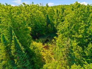 Historic Michigan Farmstead with 22.50 Acres Atlanta MI