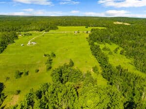 Historic Michigan Farmstead with 22.50 Acres Atlanta MI