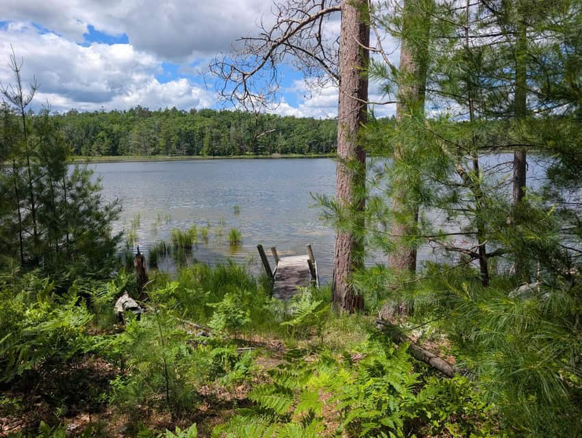 Charming 1952 Cabin on Canada Creek Ranch Atlanta MI