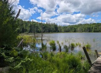 Charming 1952 Cabin on Canada Creek Ranch Atlanta MI