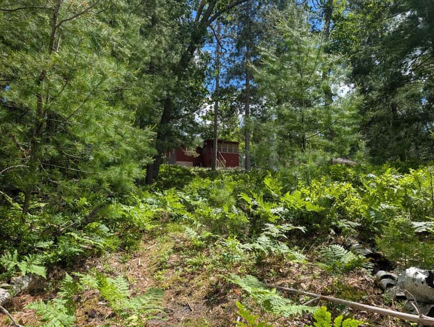 Charming 1952 Cabin on Canada Creek Ranch Atlanta MI