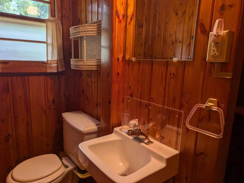 Charming 1952 Cabin on Canada Creek Ranch Atlanta MI