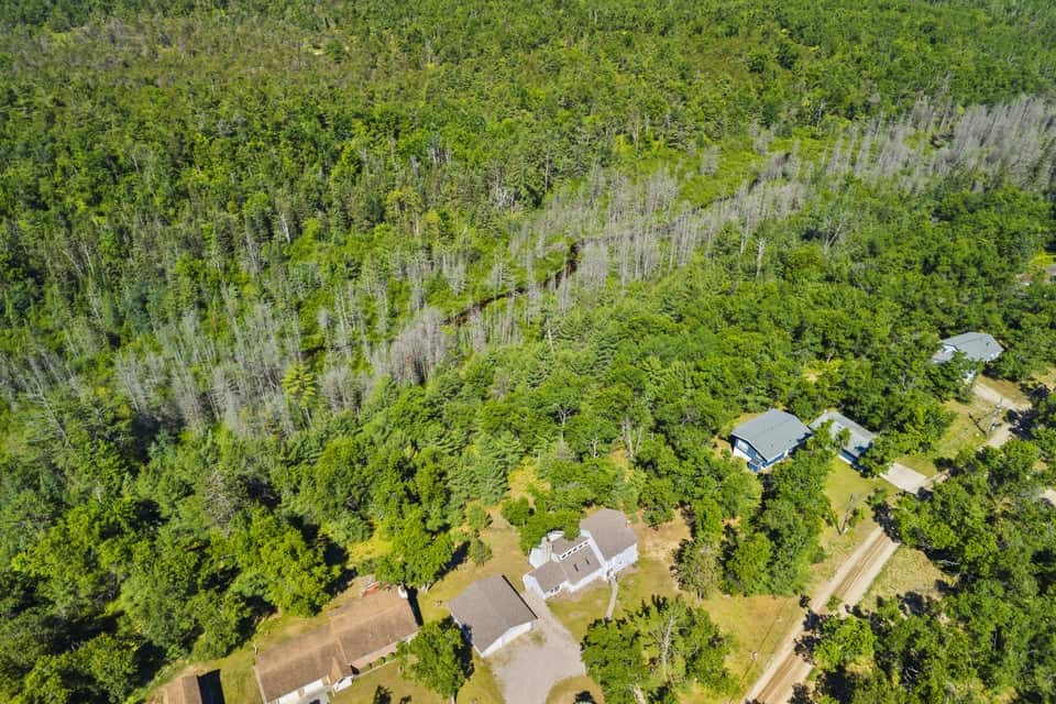 Canada Creek Ranch Home w/ Access 13,500 Acres Hunting & Fishing