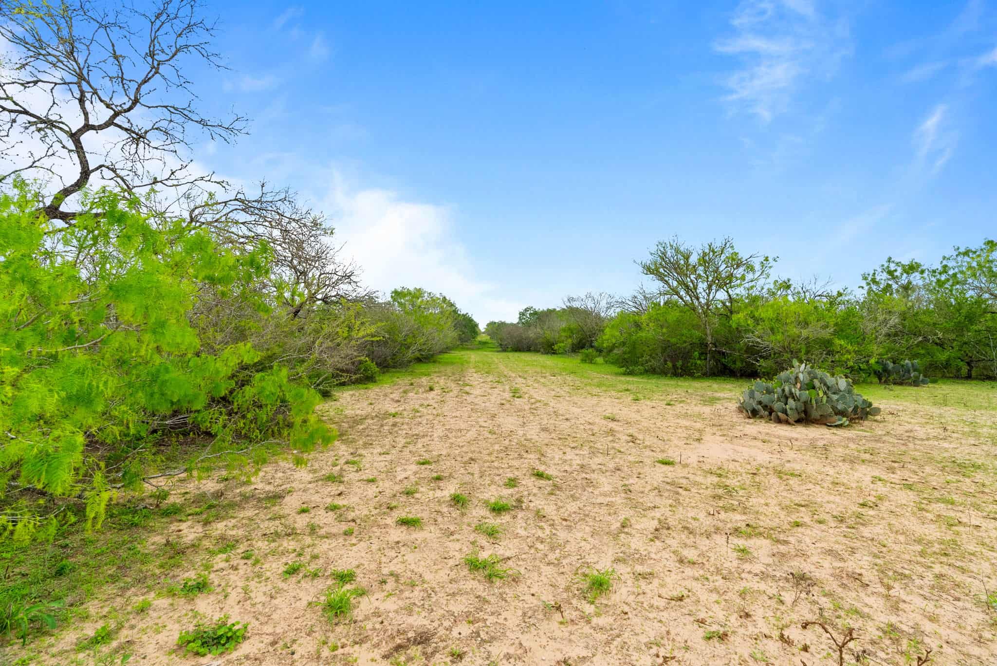 South Texas Dove Hunting Retreat