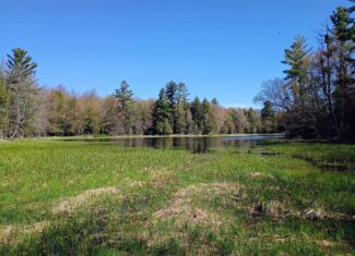 40 Acres Surrounded by 300,000 Acres of Public Land