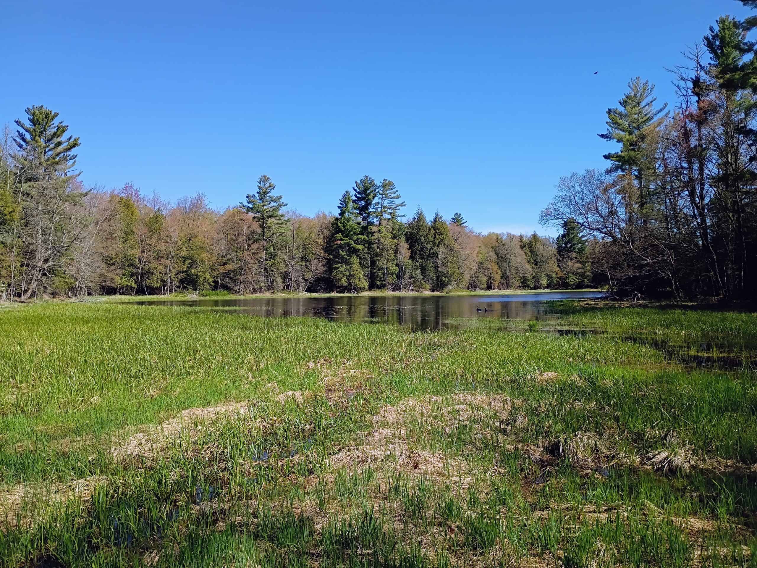 40 Acres Surrounded by 300,000 Acres of Public Land