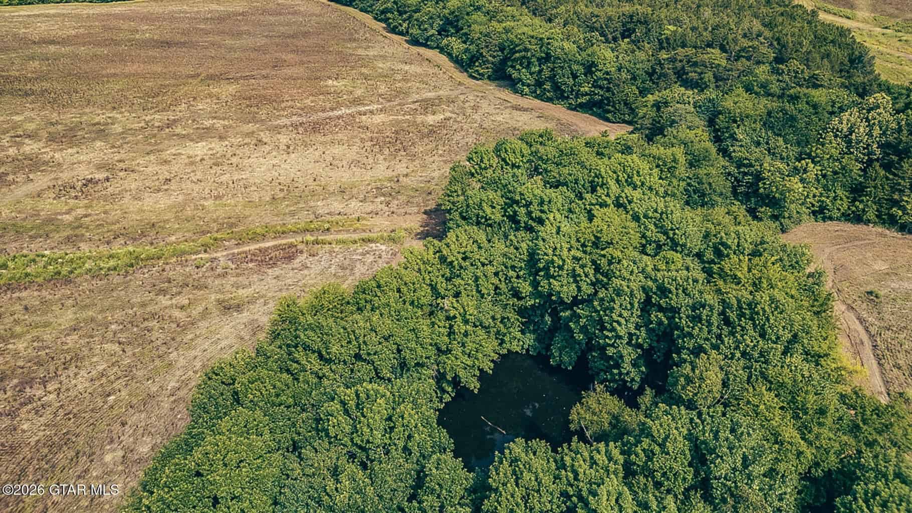 527 Acres Black Belt Prairie Clay County MS