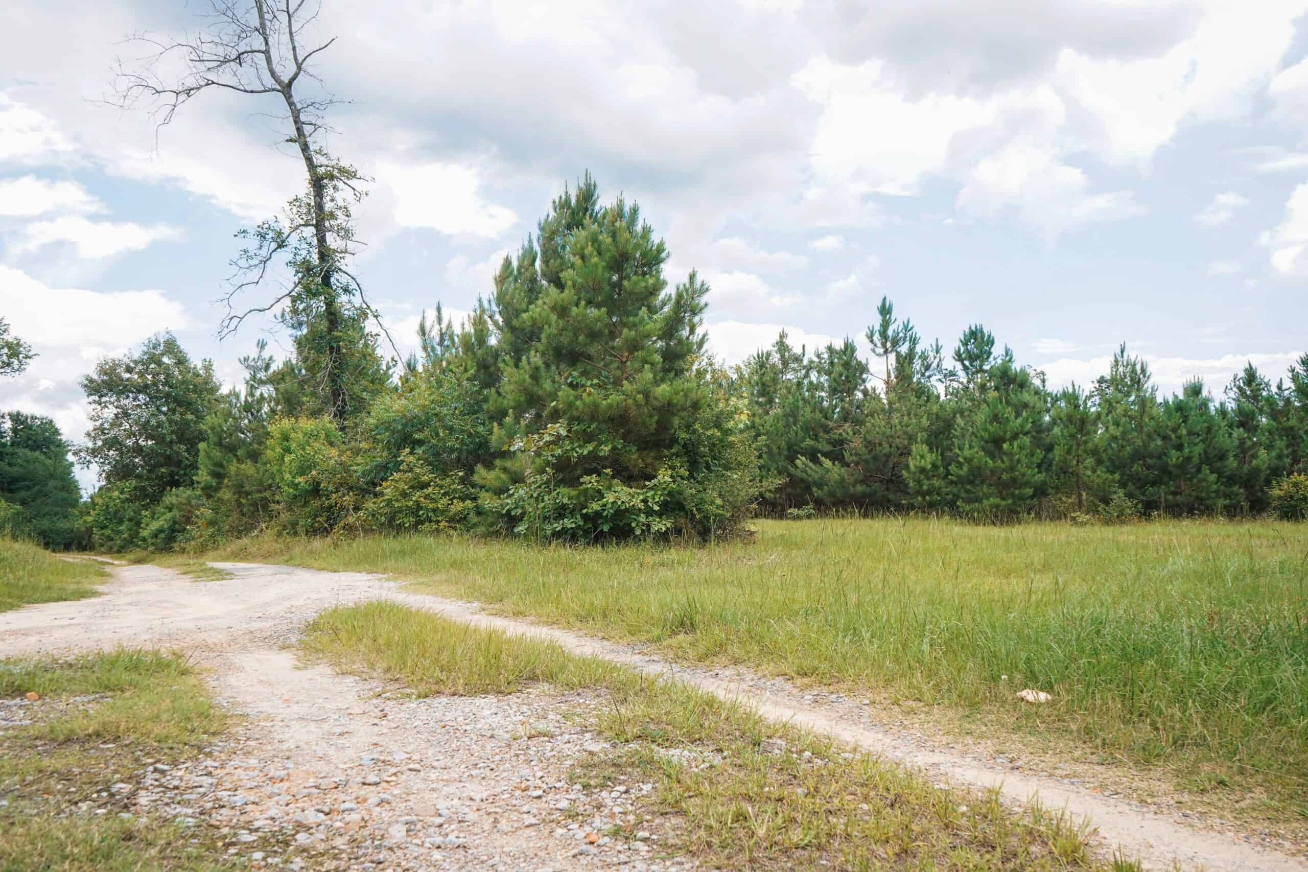 Weston 53 – Timber & Hunting Land in Louisiana
