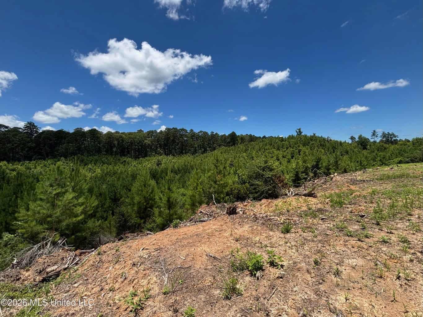 Wilkinson County MS Hunting Land for Sale