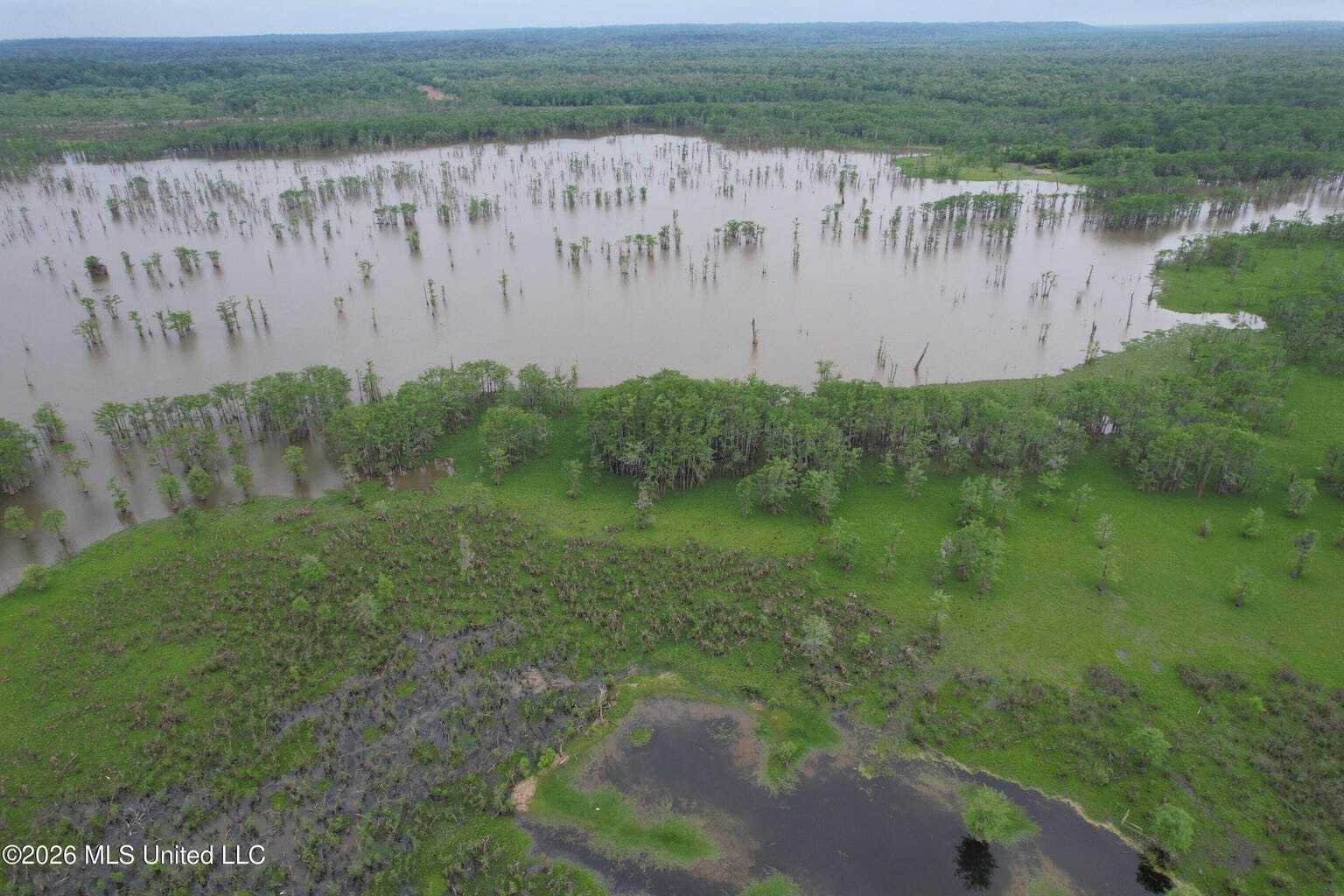 88 Acre Hunting Property – Wilkinson County, MS