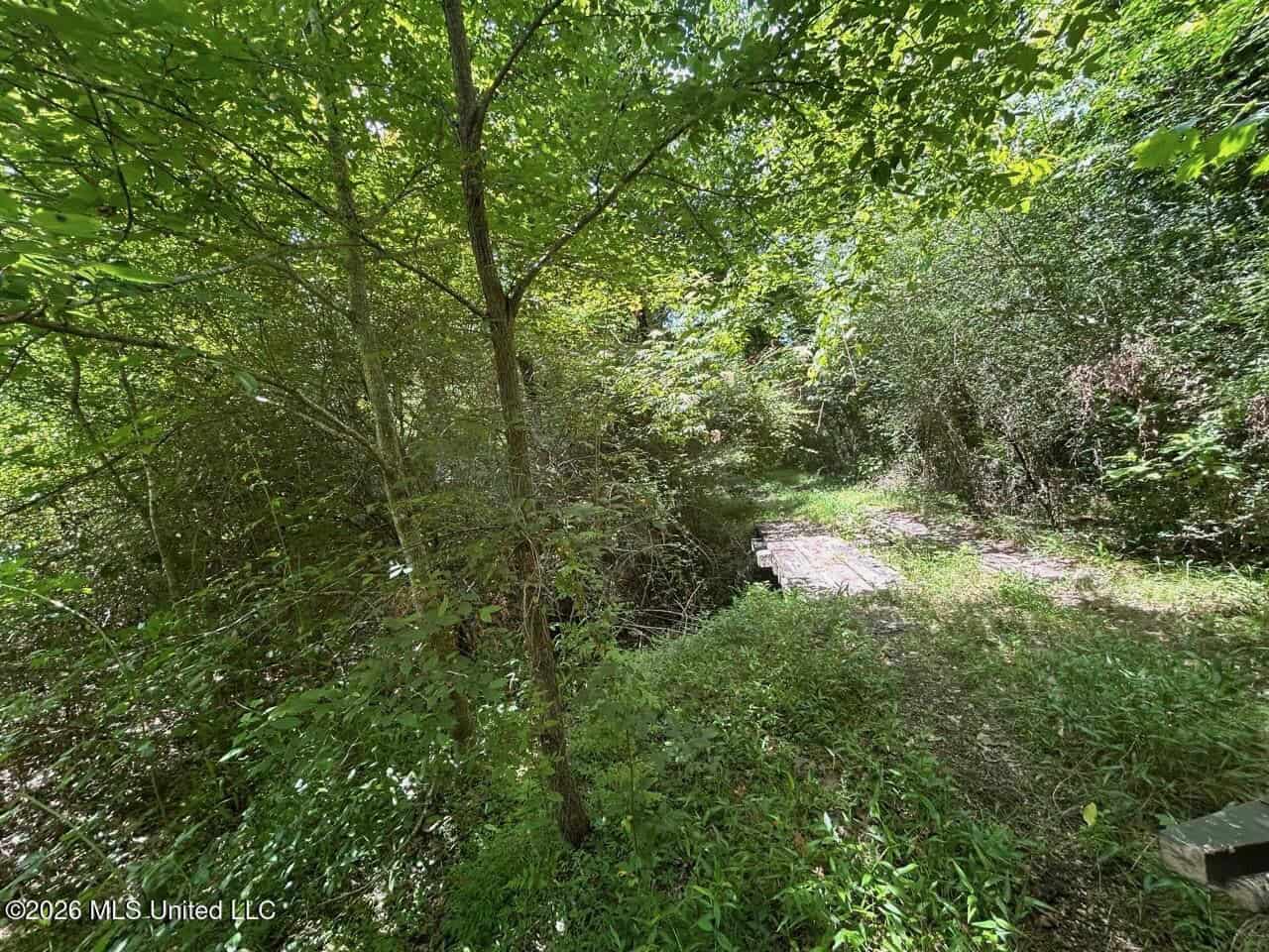 44 Acre Hunting Land in Wilkinson County, MS