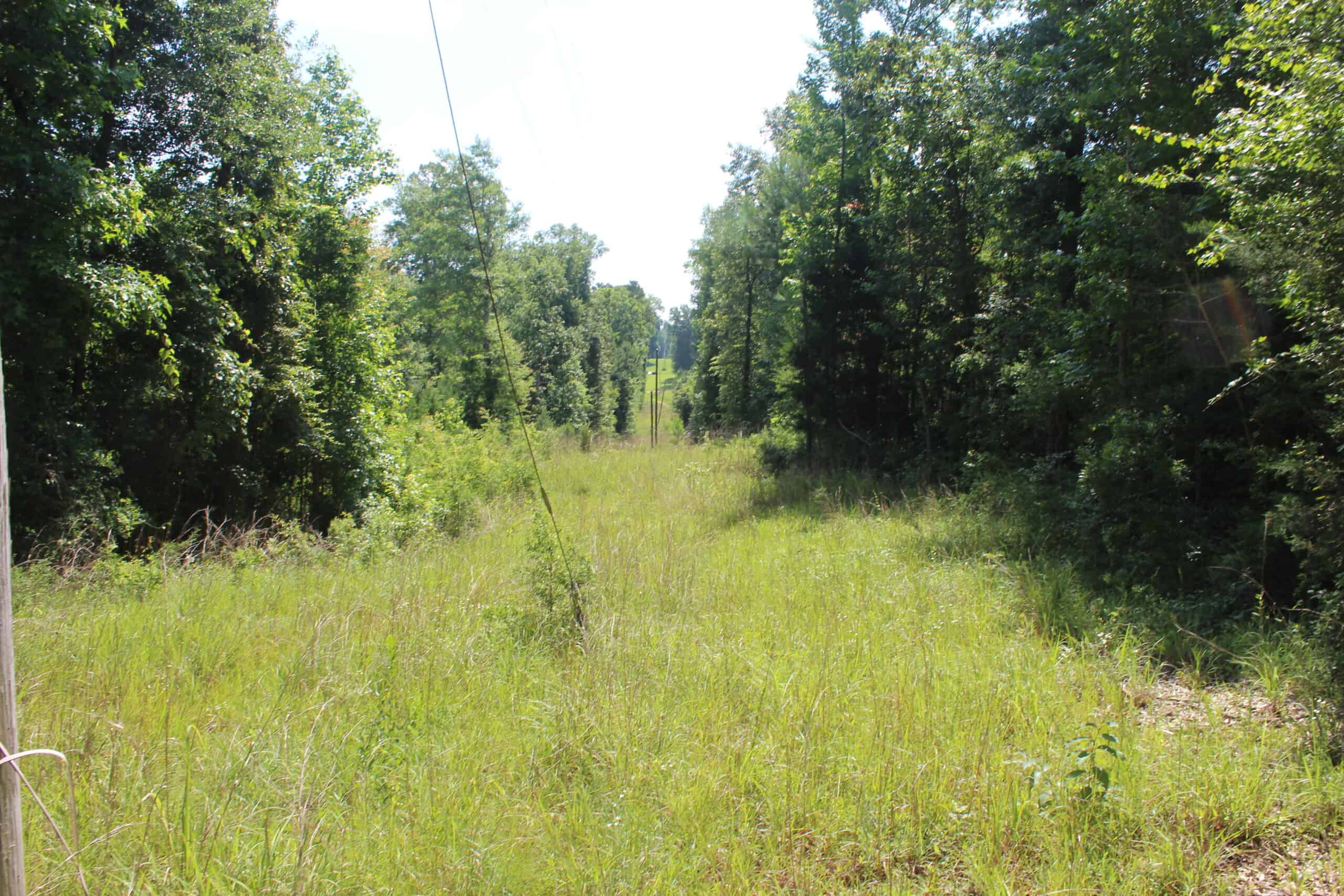 21.4 Acres For Sale at the Intersection of Hwy 84 & Hwy 33 Franklin County Mississippi