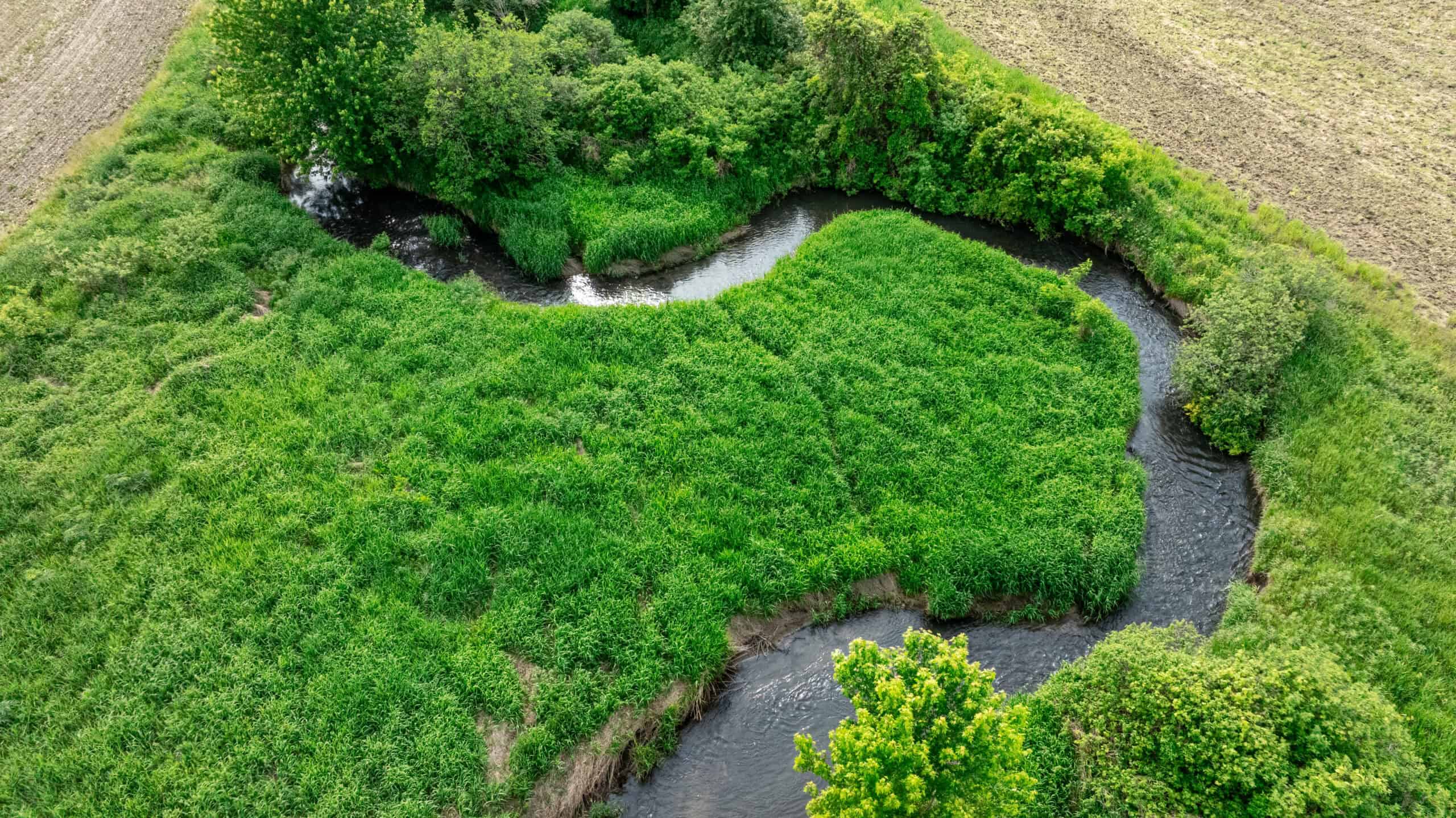 Online Auction 125± Acres of Farmland, Recreation & Investment Property