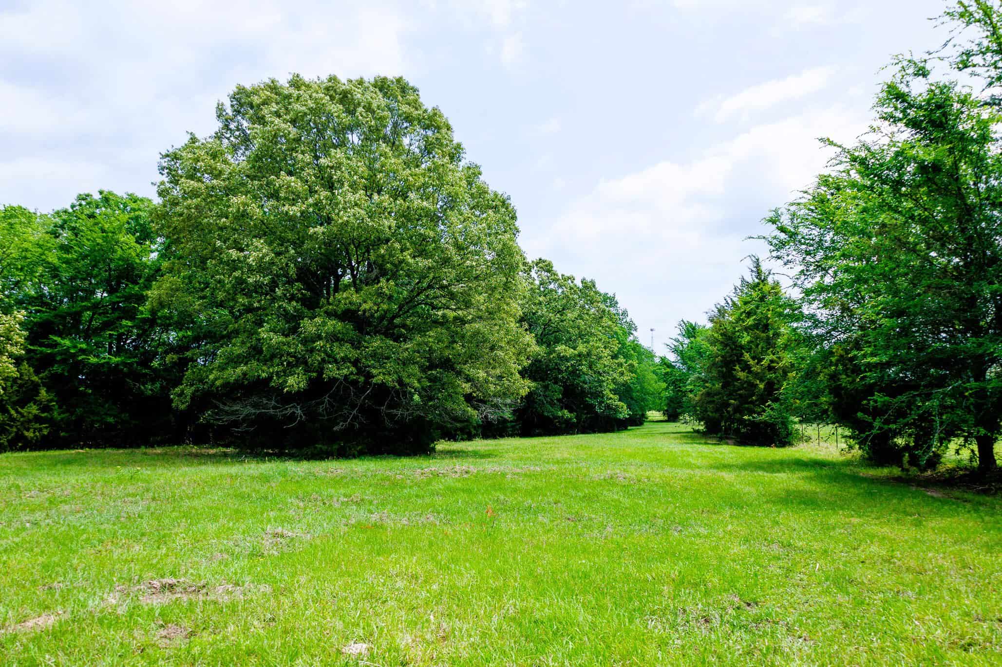 47.79-Acre Hunting Land with Cabin for Sale Ben Wheeler TX