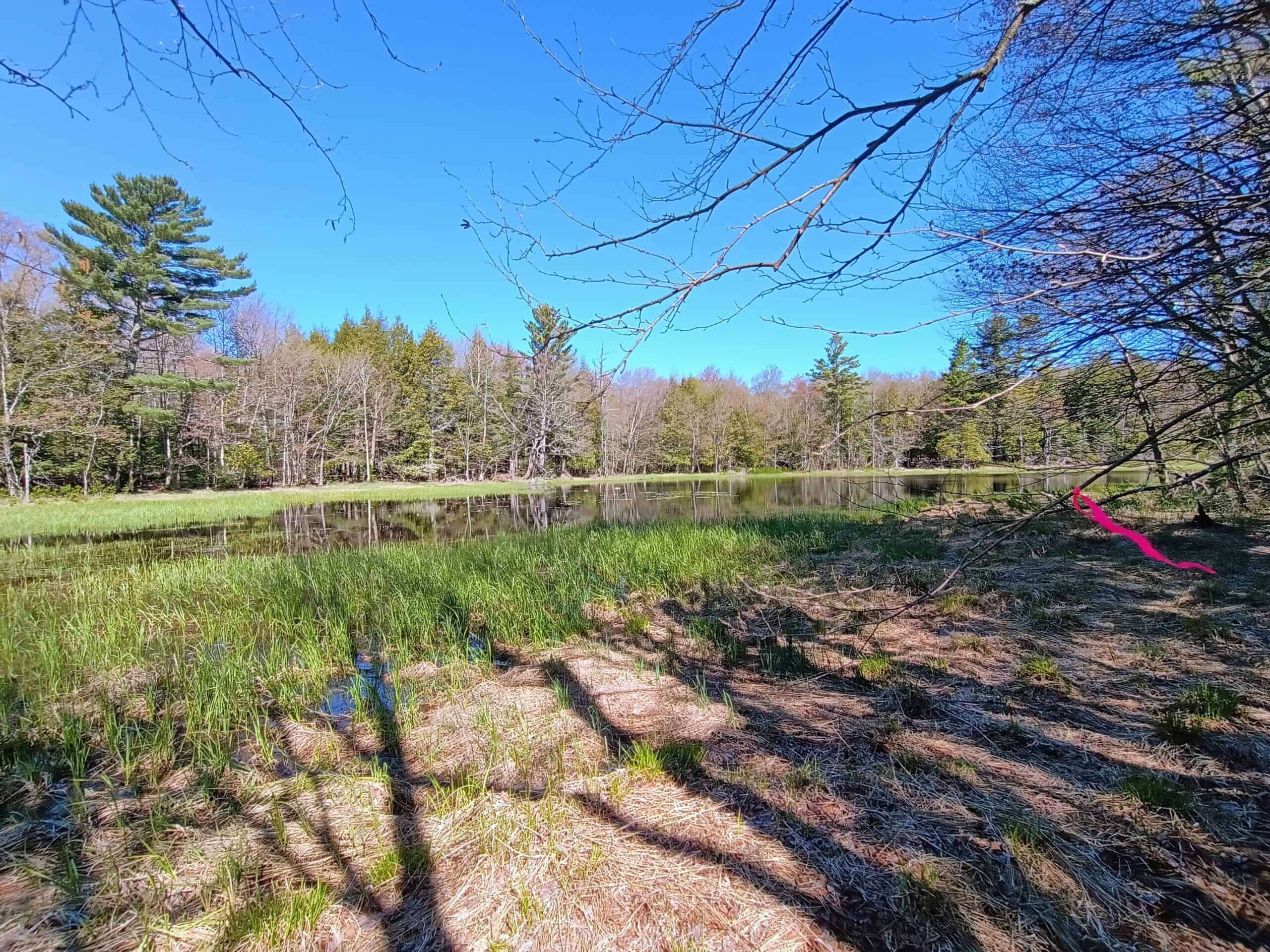 40 Acres Surrounded by 300,000 Acres of Public Land