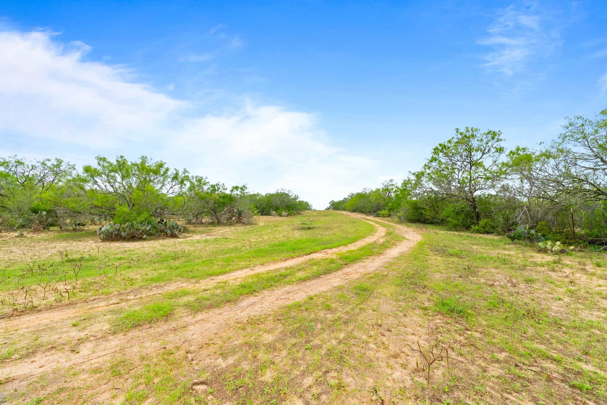 South Texas Dove Hunting Retreat