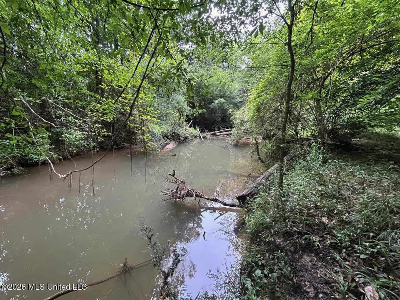 120± Acres for Sale in Osyka, MS on Tickfaw River
