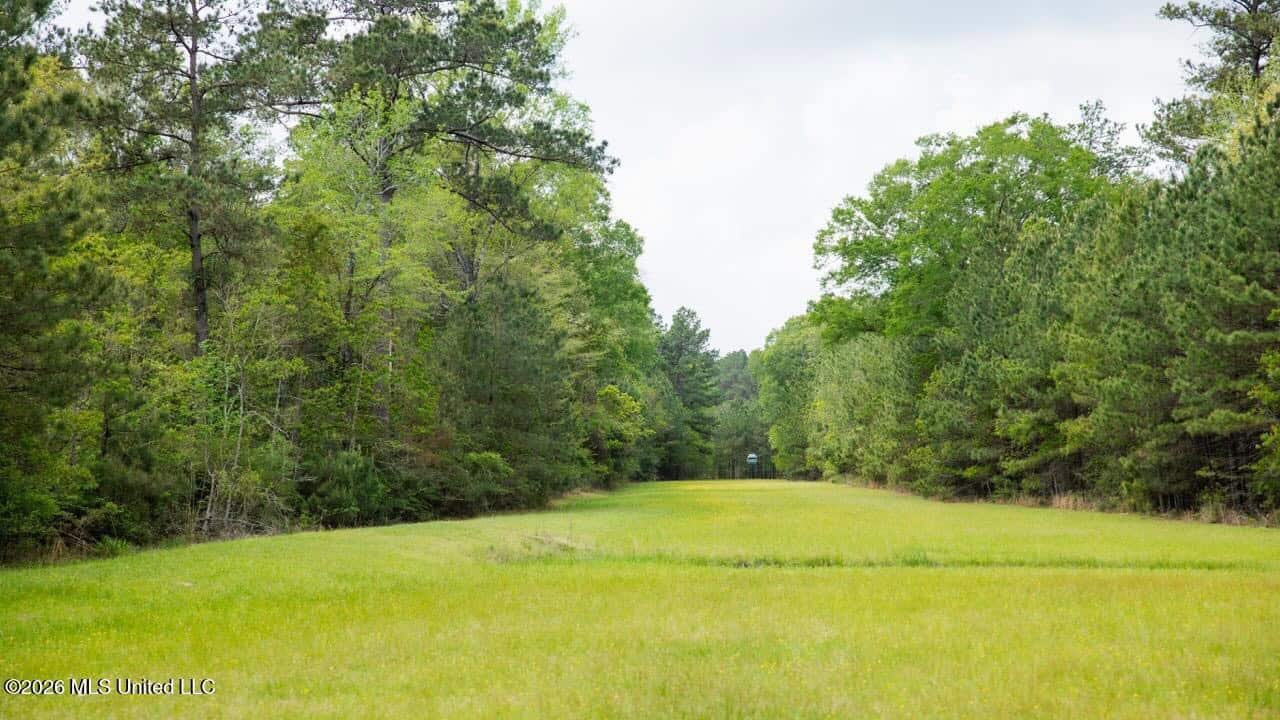 958± Acre High-Fence Ranch in Oakdale, Louisiana
