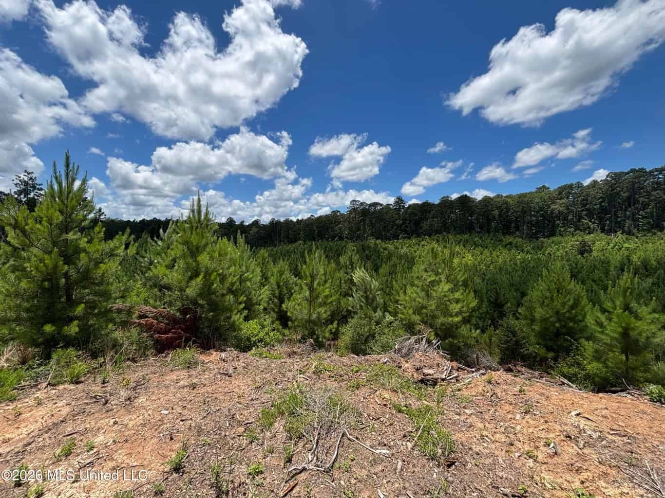 Wilkinson County MS Hunting Land for Sale