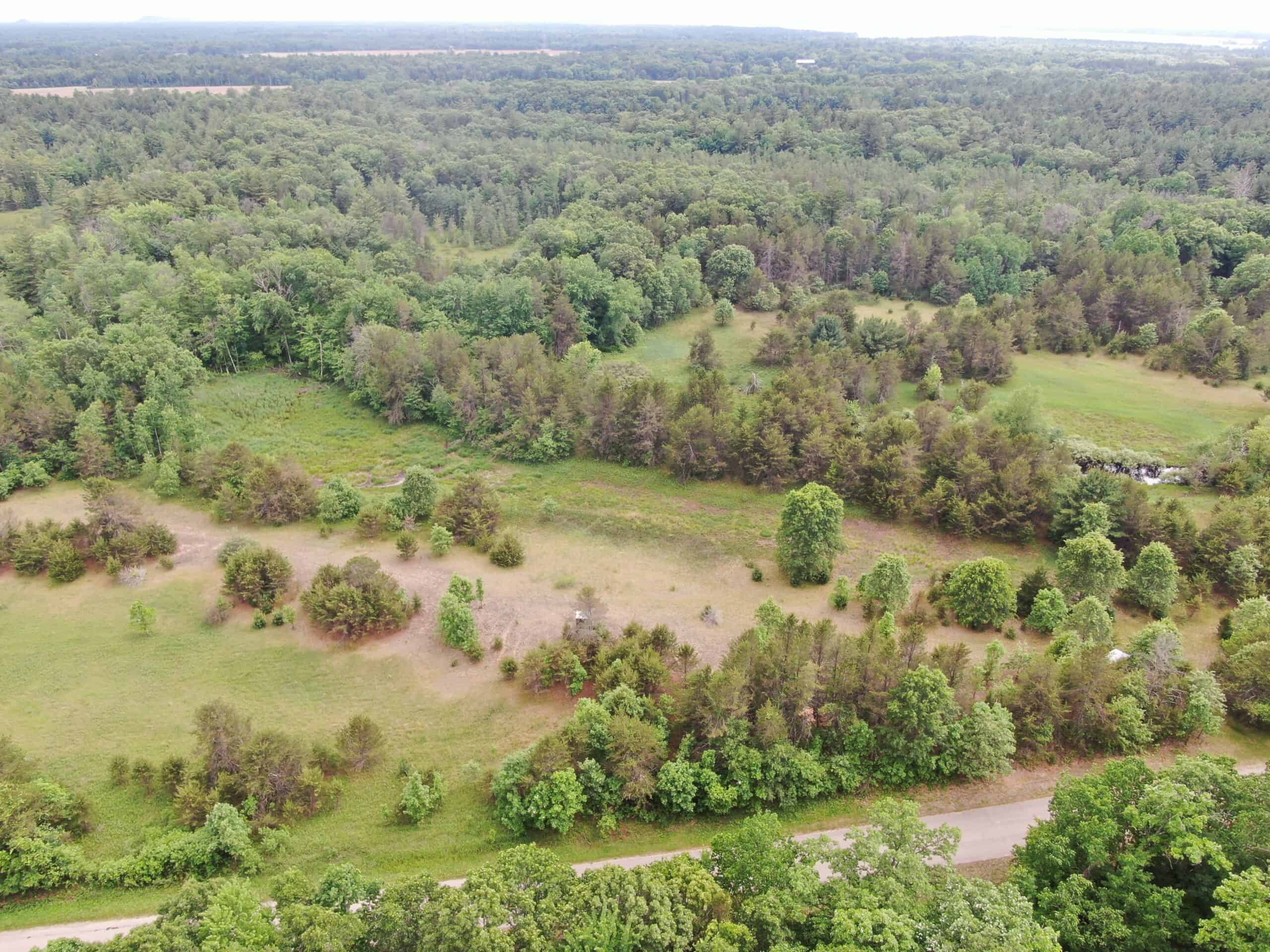 Forty acres in Adams County located in the Town of Strongs Prairie