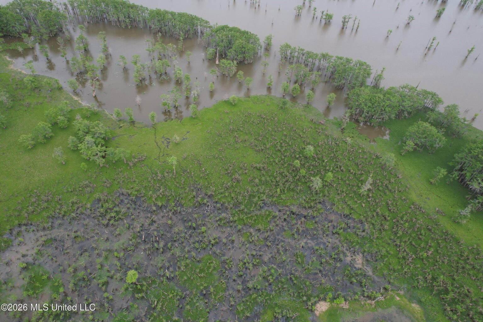 88 Acre Hunting Property – Wilkinson County, MS