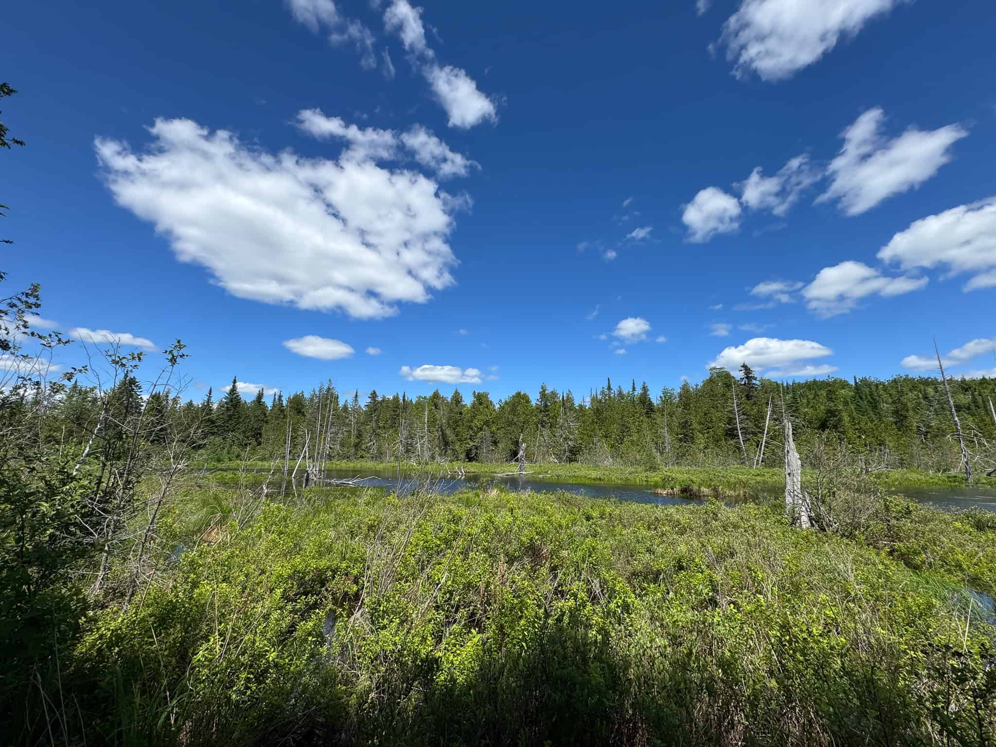 Large Acreage Maine Land for Sale Near West Grand Lake Chain
