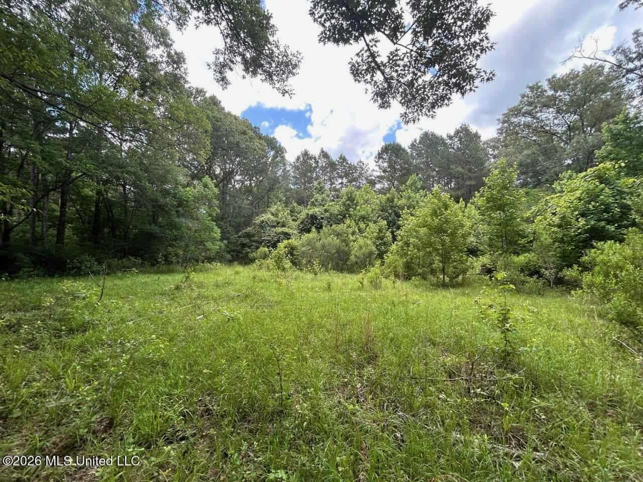 44 Acre Hunting Land in Wilkinson County, MS