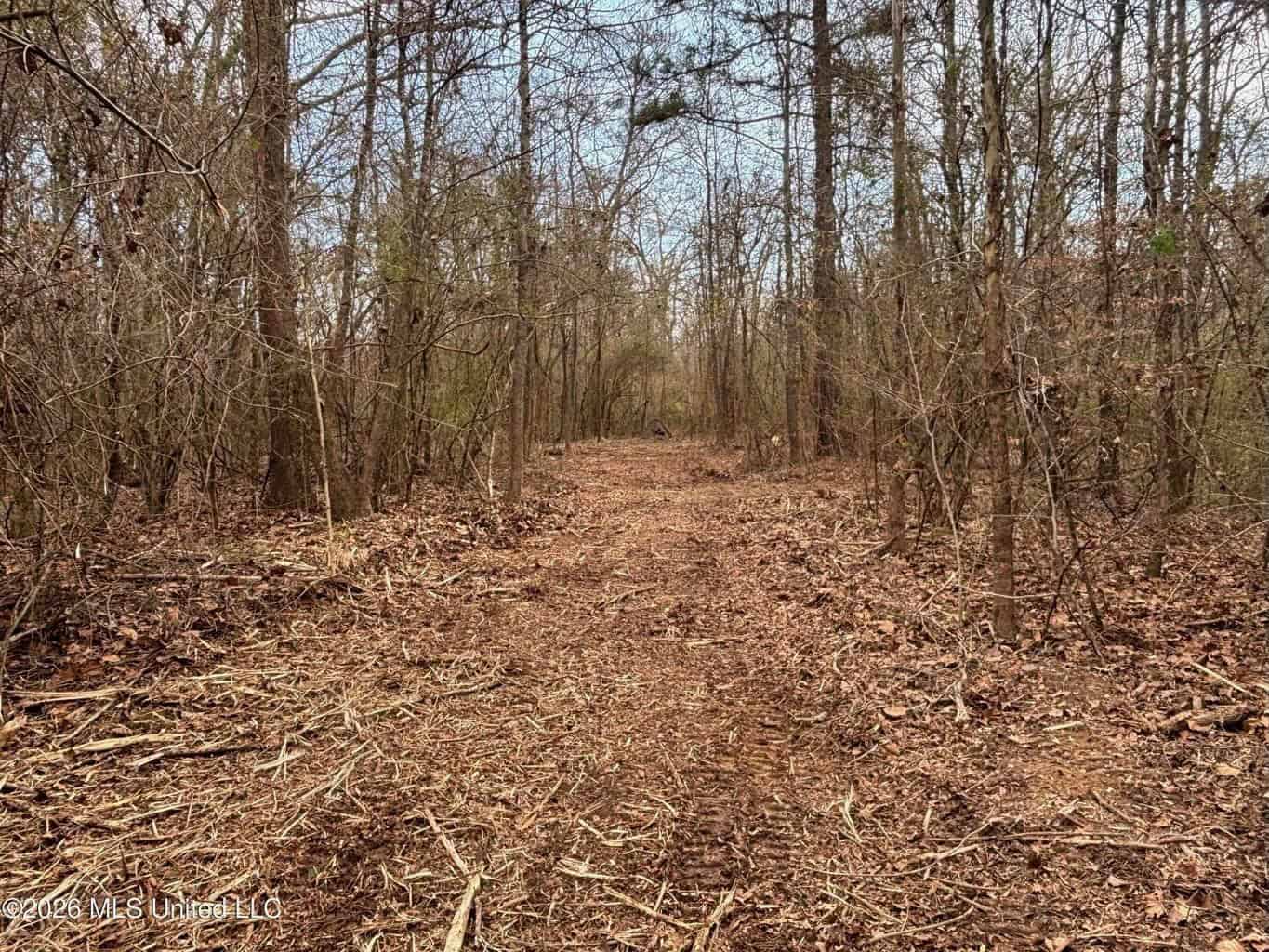 Hazlehurst MS Hunting Land for Sale