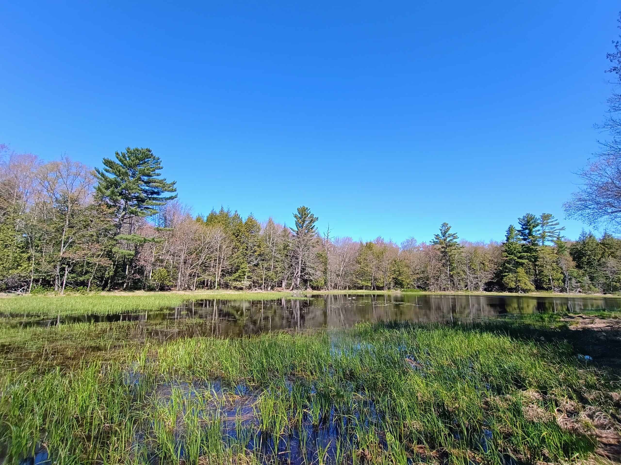 40 Acres Surrounded by 300,000 Acres of Public Land
