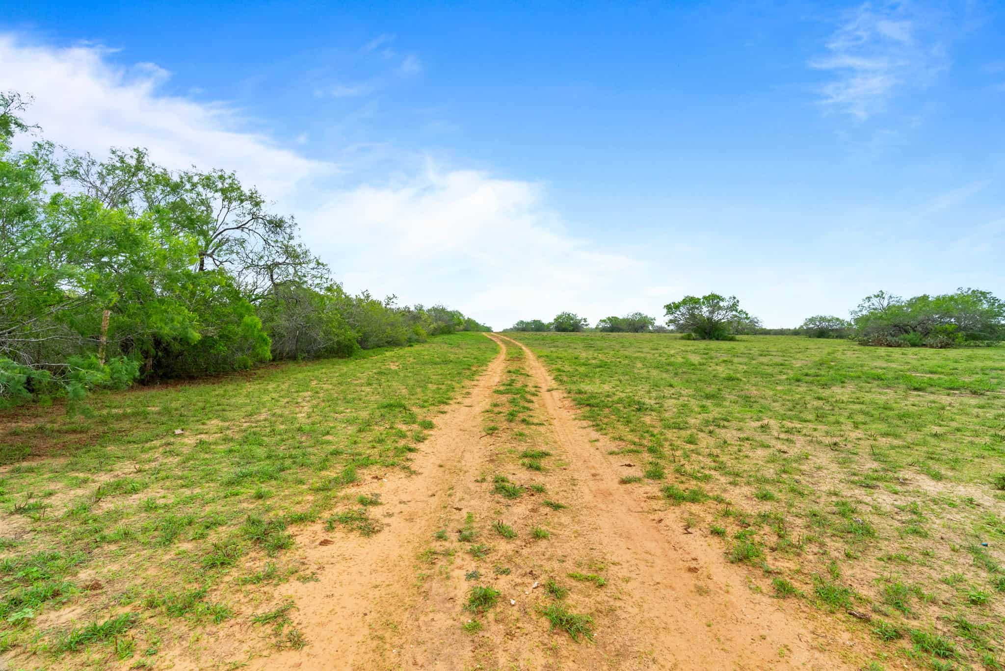 South Texas Dove Hunting Retreat