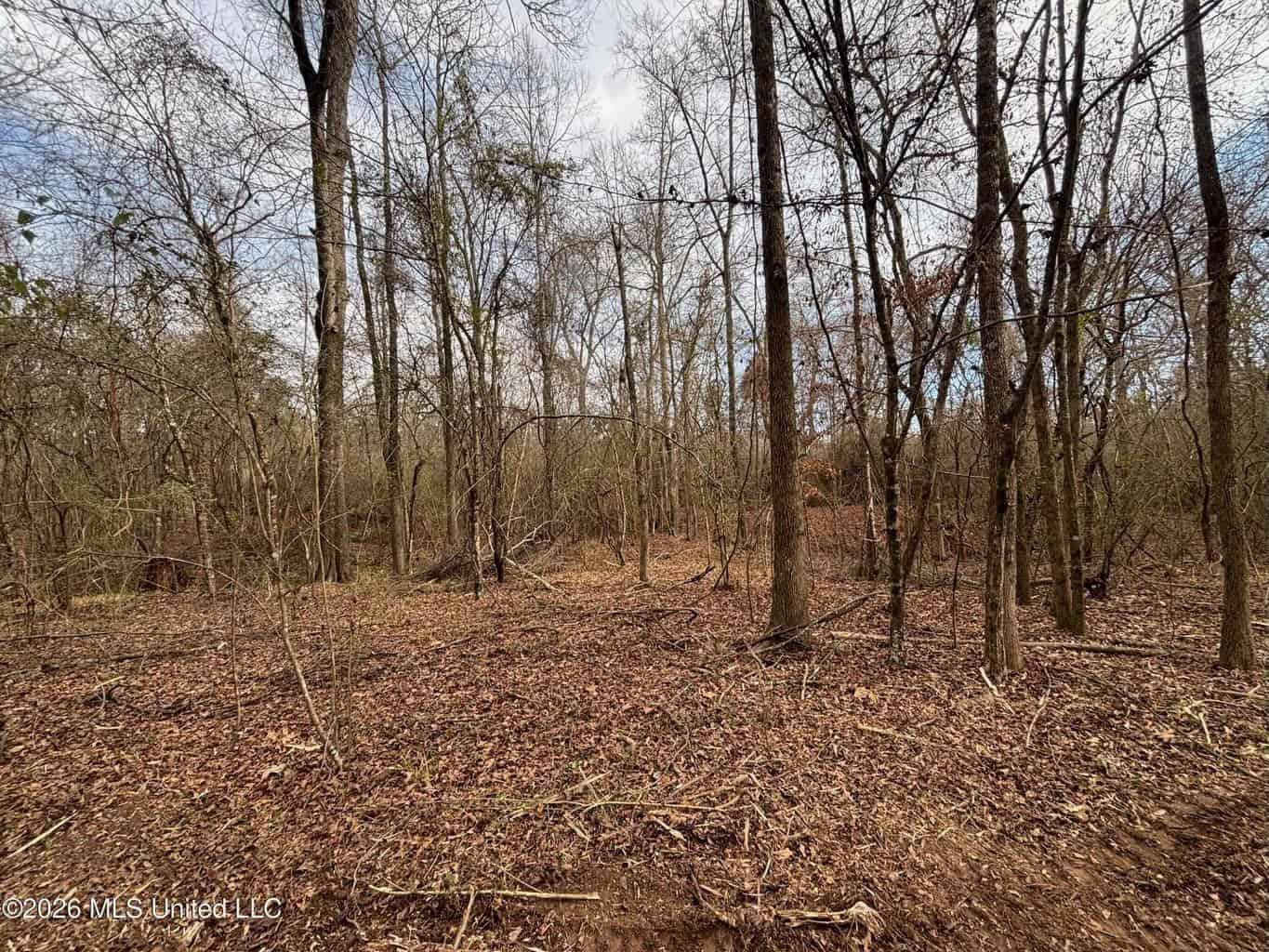 Hazlehurst MS Hunting Land for Sale