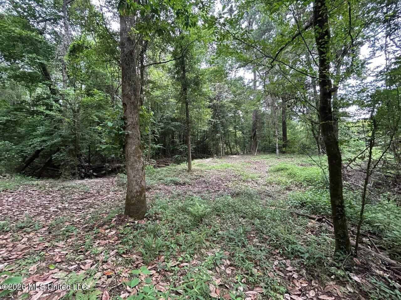 120± Acres for Sale in Osyka, MS on Tickfaw River
