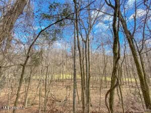 Jefferson County, MS Hunting Club Ownership Share