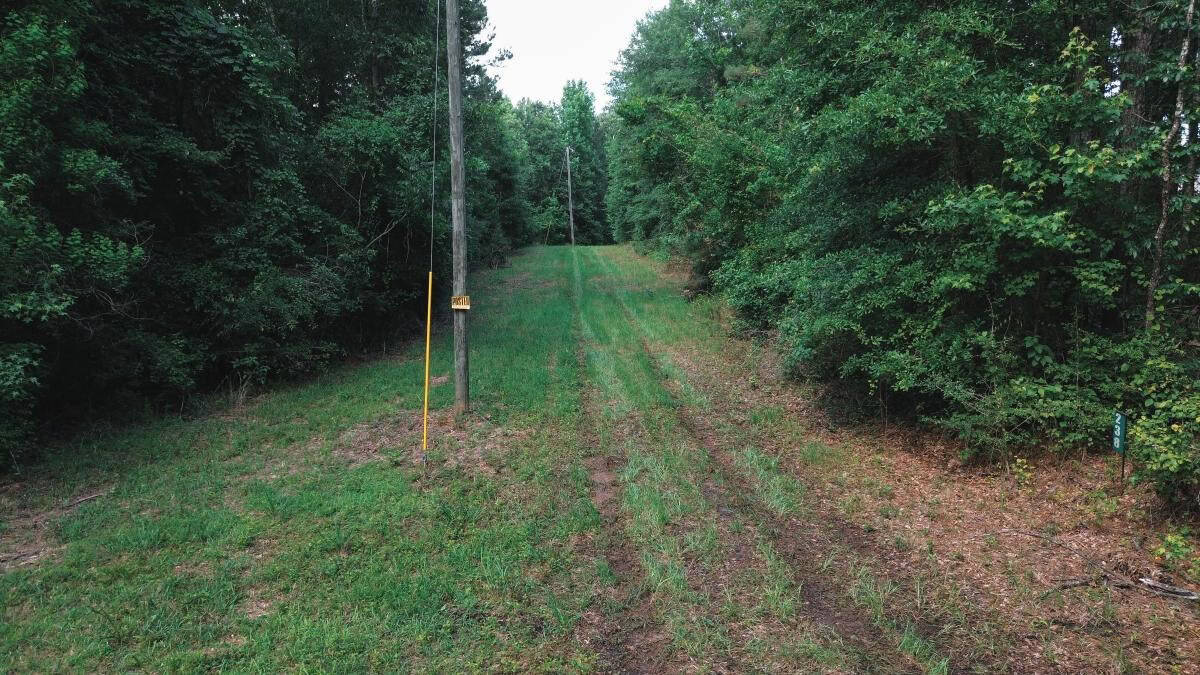 Weston 112 – Timber & Hunting Land in Jackson Parish, LA