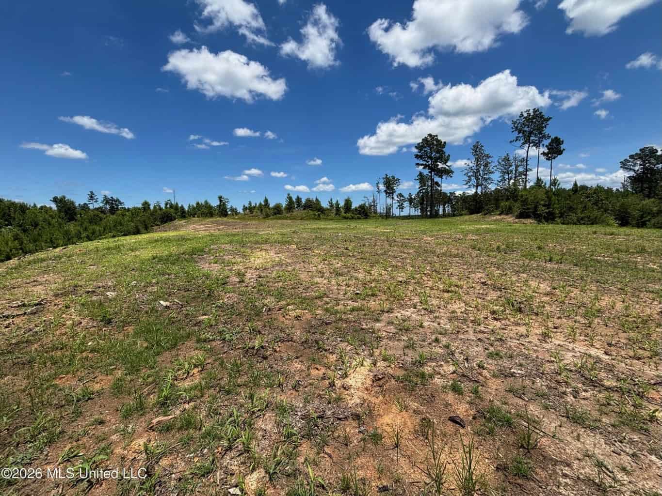 Wilkinson County MS Hunting Land for Sale