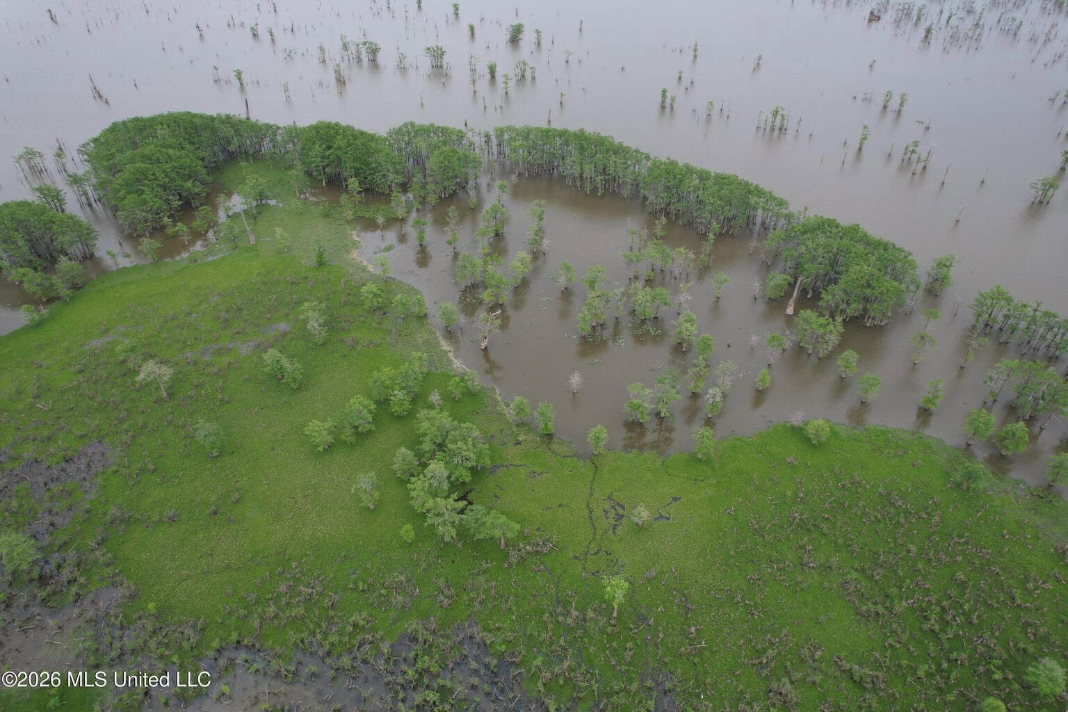 88 Acre Hunting Property – Wilkinson County, MS