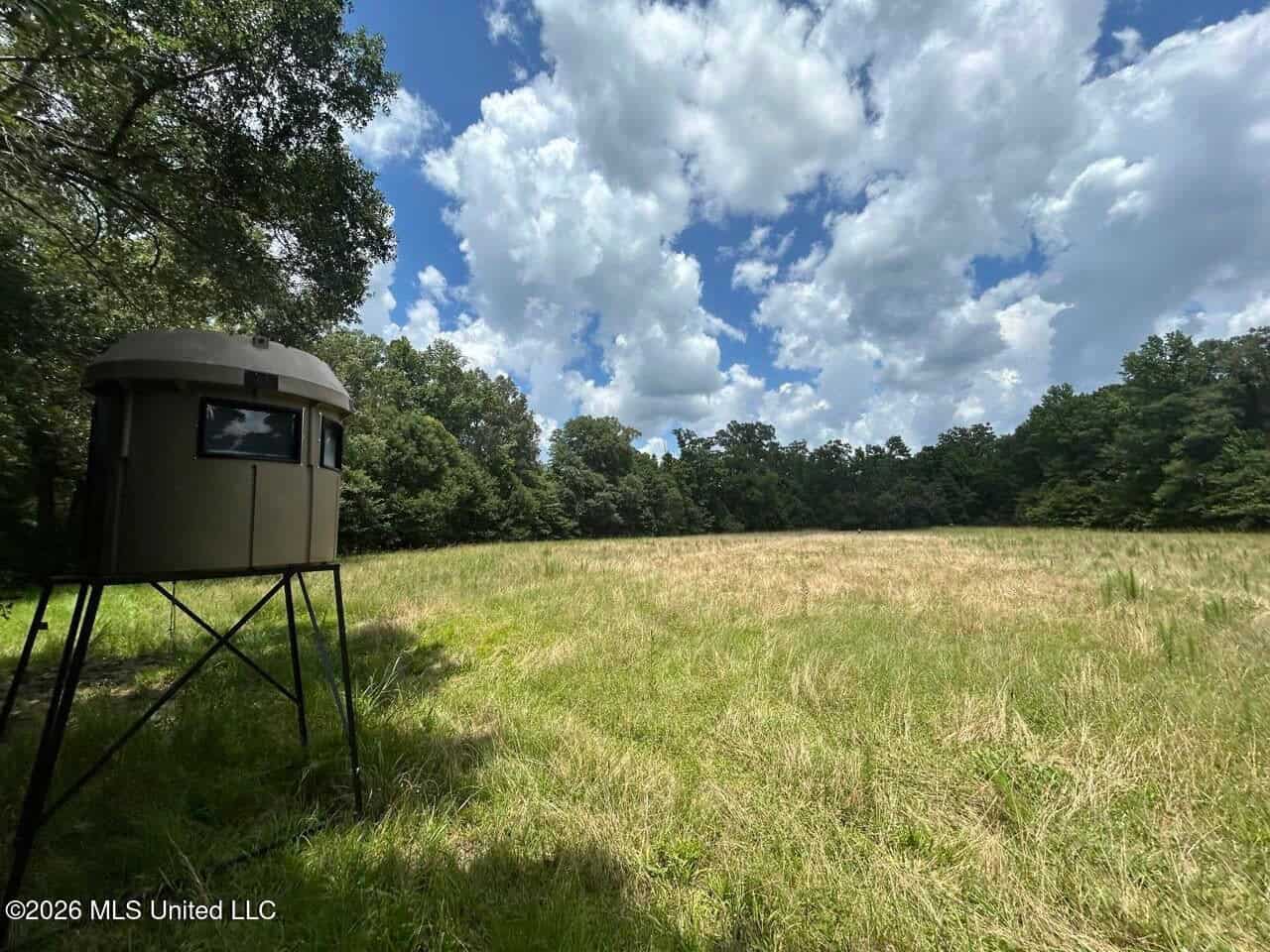 44 Acre Hunting Land in Wilkinson County, MS