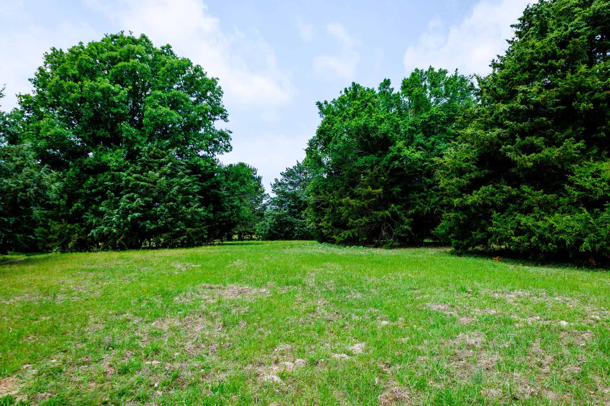 47.79-Acre Hunting Land with Cabin for Sale Ben Wheeler TX