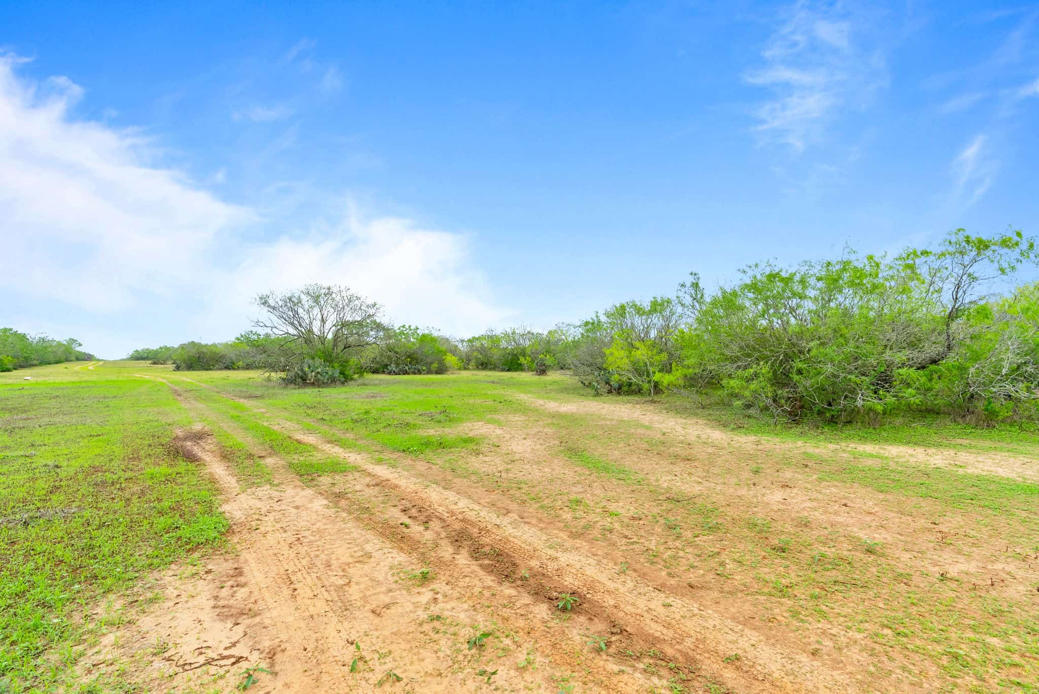 South Texas Dove Hunting Retreat