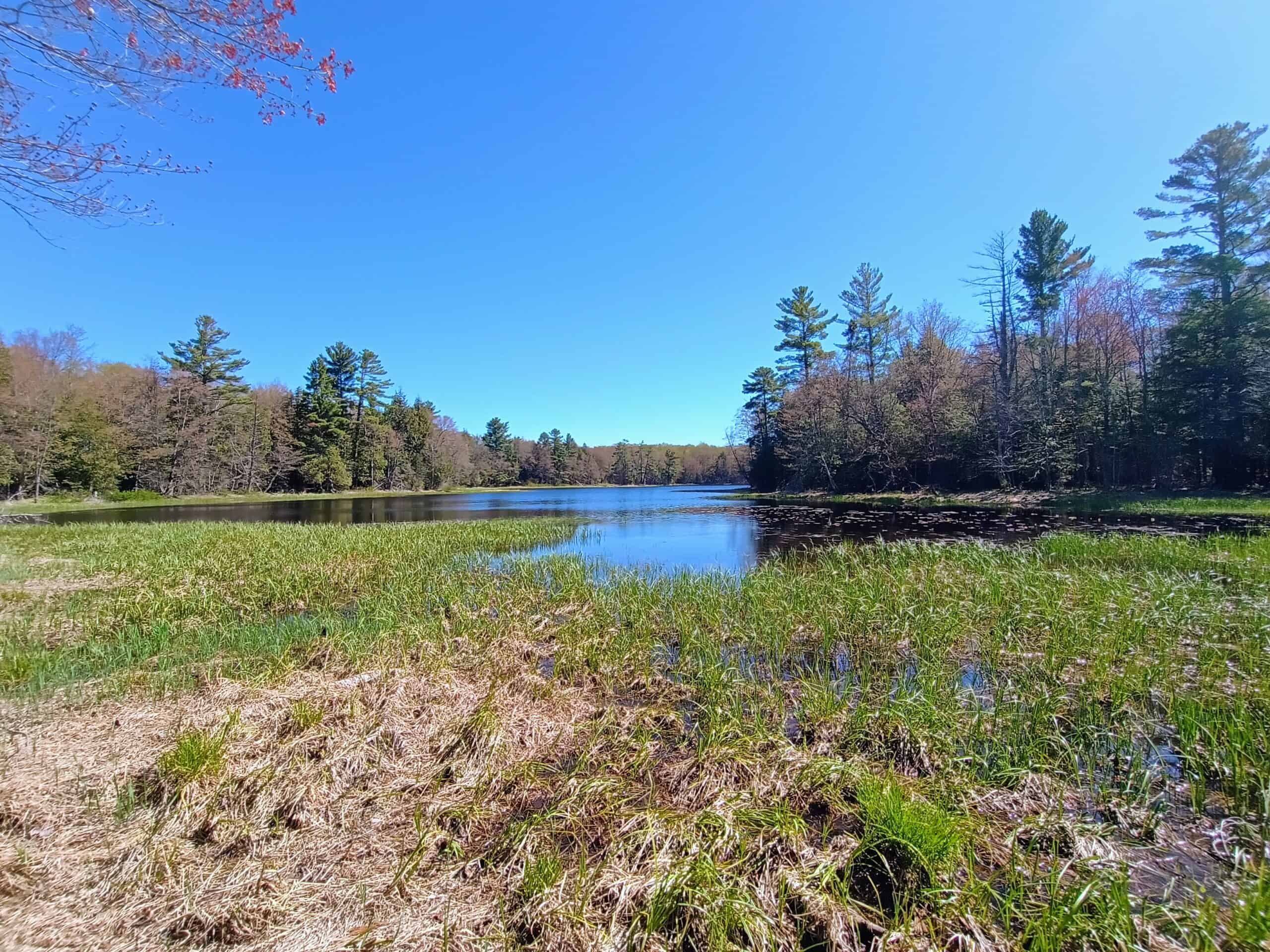 40 Acres Surrounded by 300,000 Acres of Public Land