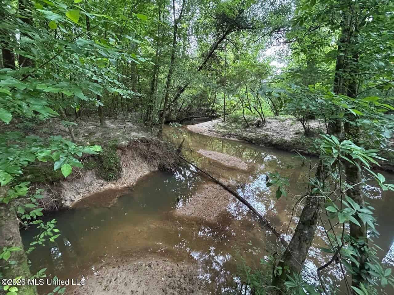 120± Acres for Sale in Osyka, MS on Tickfaw River