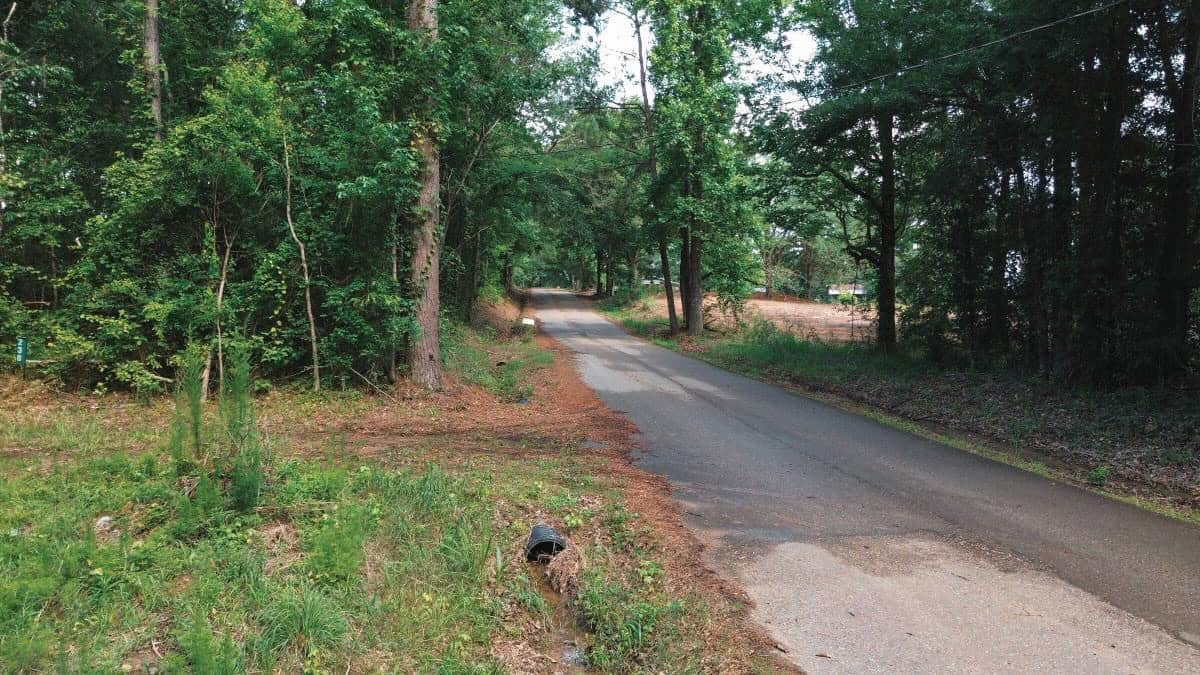 Weston 112 – Timber & Hunting Land in Jackson Parish, LA