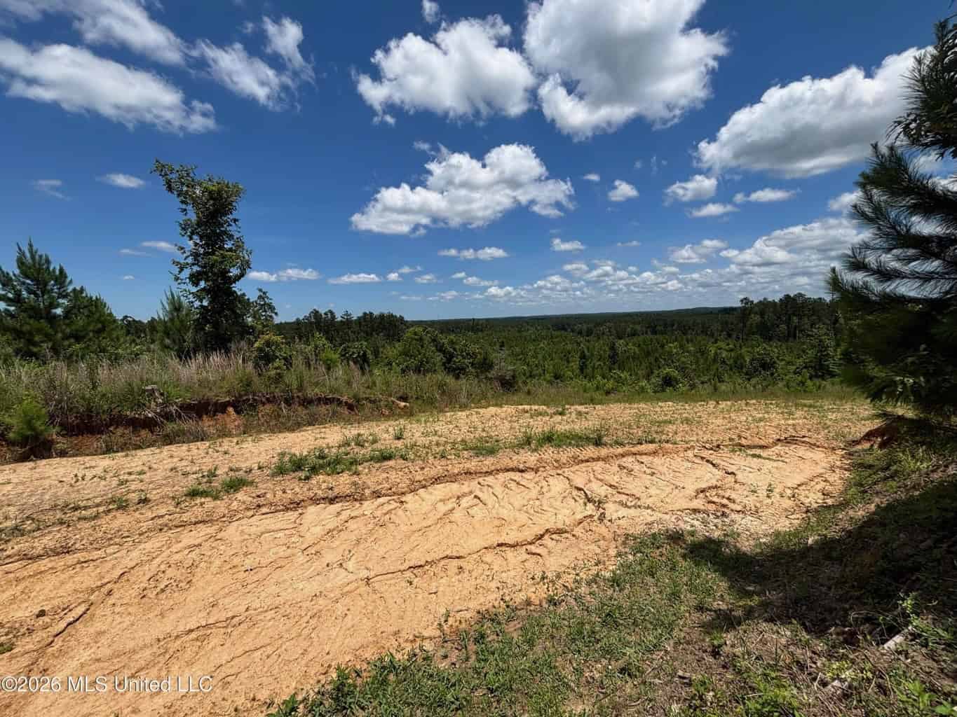 Wilkinson County MS Hunting Land for Sale