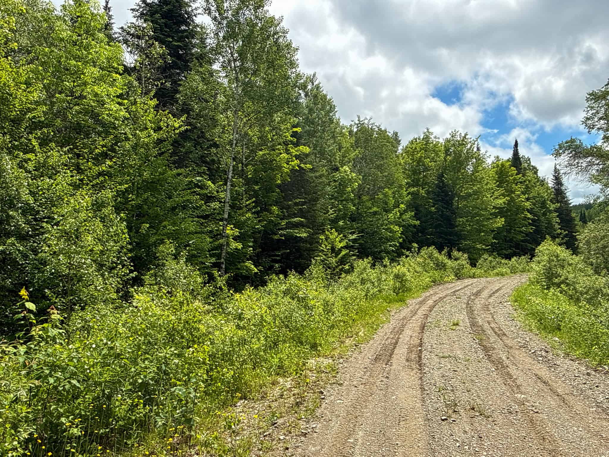 Large Acreage Maine Land for Sale Near West Grand Lake Chain