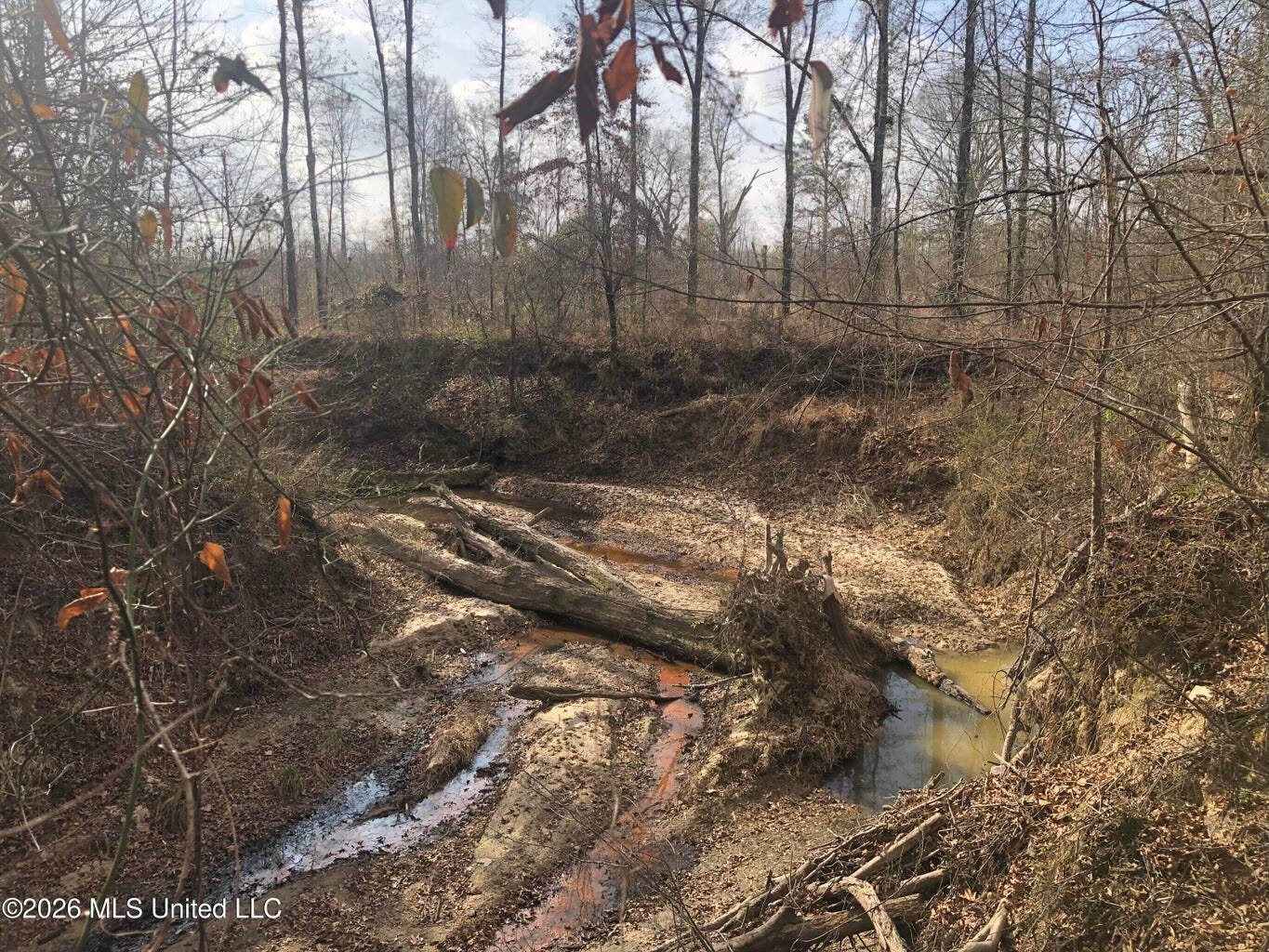 88.5 acres Hunting & Timber Land for Sale in Utica, Ms