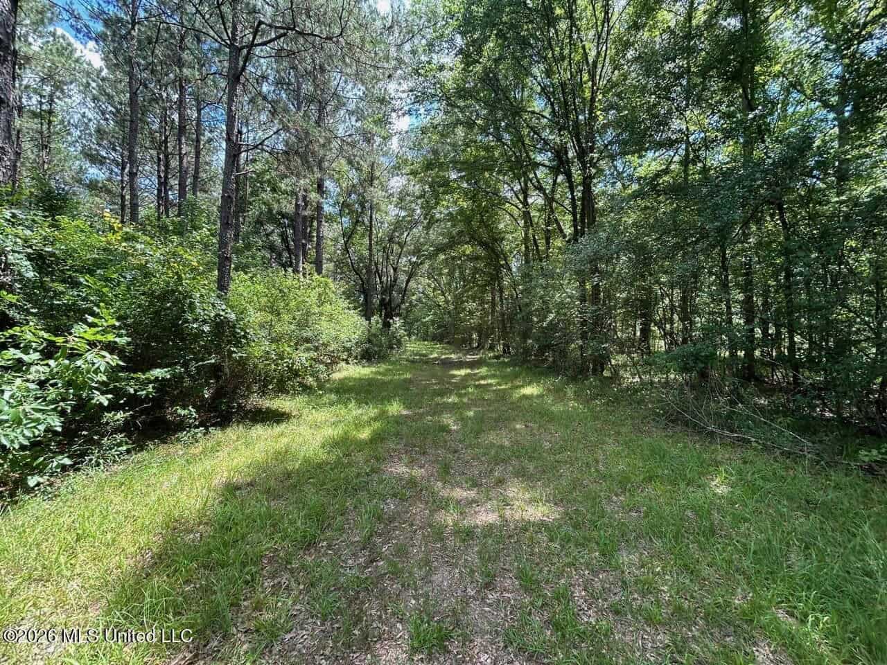 44 Acre Hunting Land in Wilkinson County, MS